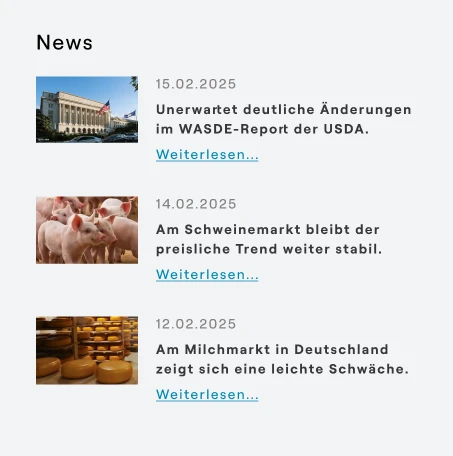 Kaack Widget News
