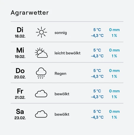 Kaack Widget Wetter